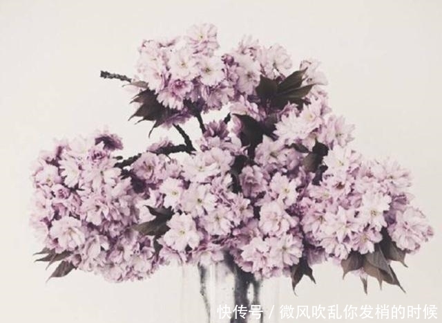 隐忍|能屈能伸,进退有度的星座,得意时高调,失意时又能保持隐忍