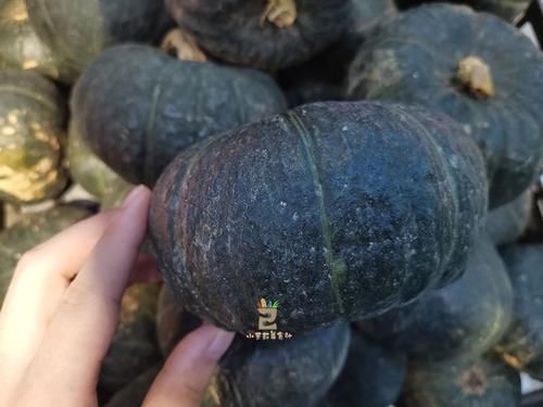  南瓜|立秋吃南瓜，老农教你专门挑“老”南瓜，又甜又糯，怎么做都好吃