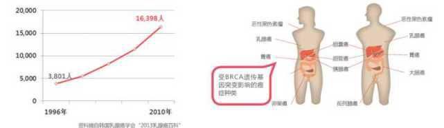 诺贝尔化学奖|2020年诺贝尔化学奖：基因编辑