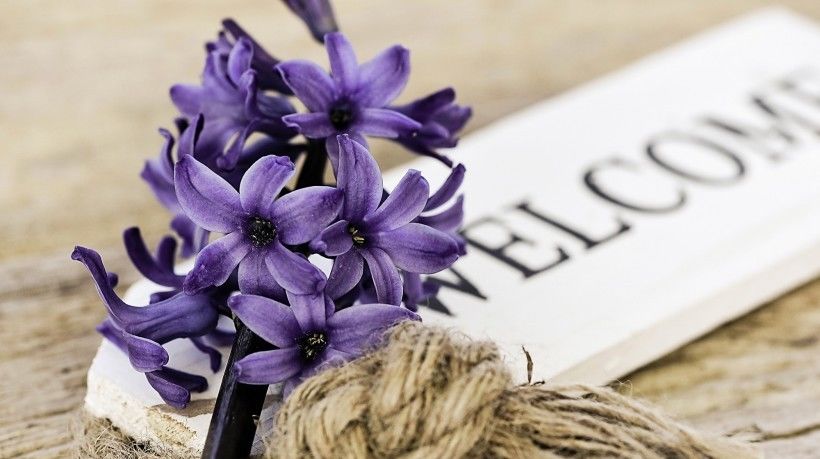  对方|进入8月，花儿伴蝶，真情孤飞，爱情丝丝入扣的4大星座