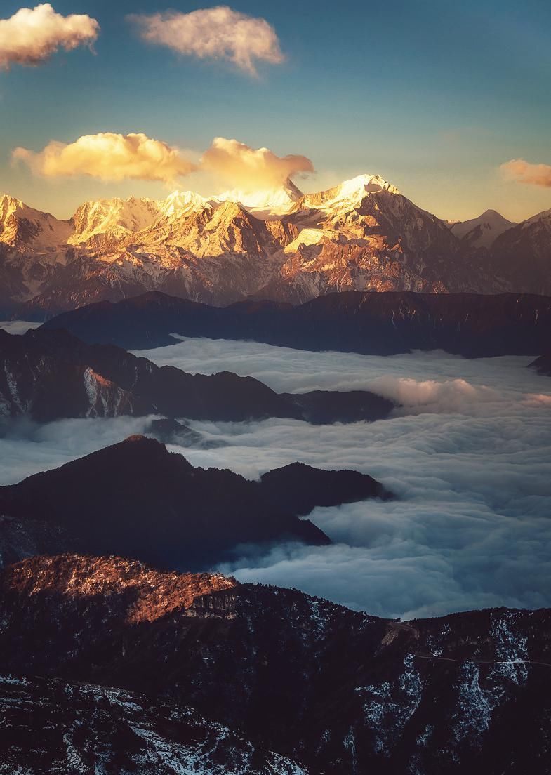  瞒不住|完了！雅安遍地大熊猫的事瞒不住了