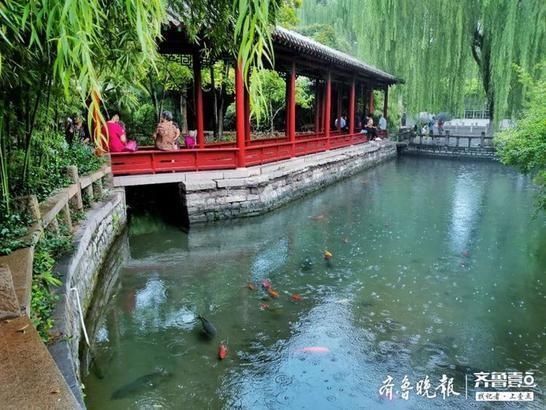 趵突泉|雨中漫步趵突泉,烟雨蒙蒙游人如织