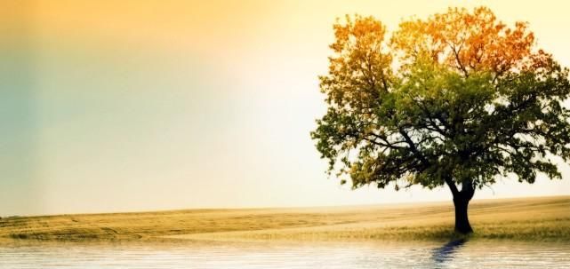  鸿运|2020下半年鸿运当头, 苦尽甜来, 将美梦成真, 人生精彩的3大星座