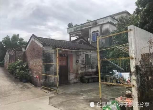  老人|女孩回应遛狗绊死老人“逃离”现场：不在乎别人怎么说，没什么压力