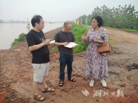 全媒|洪水不退，决不松劲！湖北日报全媒记者奋战在一线