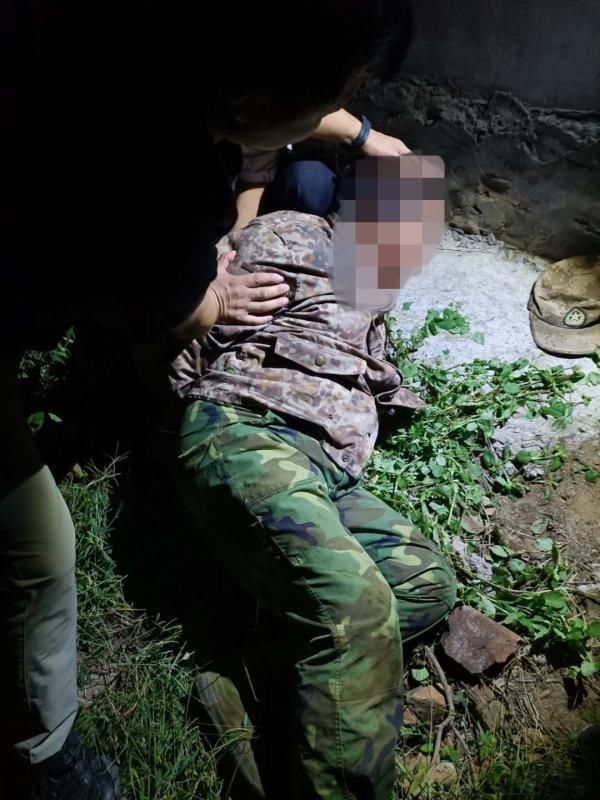 石家庄市行|涉案30余万元！4人跨省偷猪羊等牲畜，石家庄落网