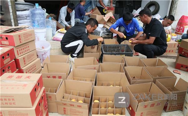  日报|贵阳日报传媒集团蹲点调研行之清镇：提质增效决胜全面小康（上）