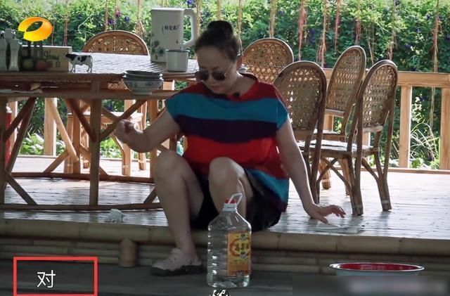  有无|《向往的生活》有无下一季？宋丹丹酿菠萝酒，何炅第一反应引热议