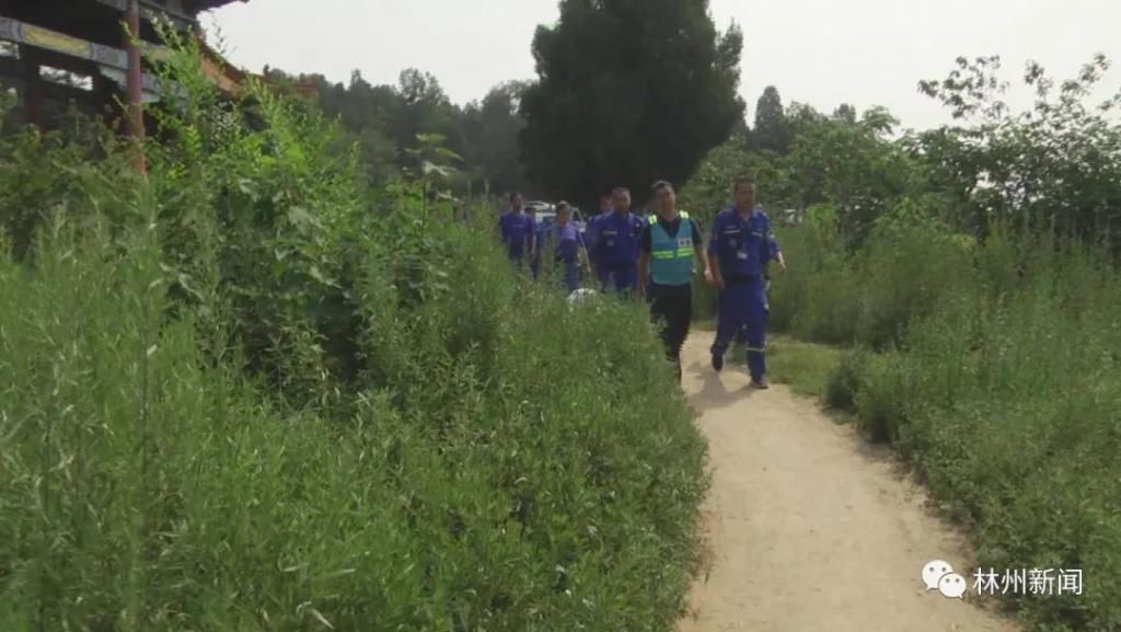  寻找|点赞！生死搜救 老人失踪7天后找到了