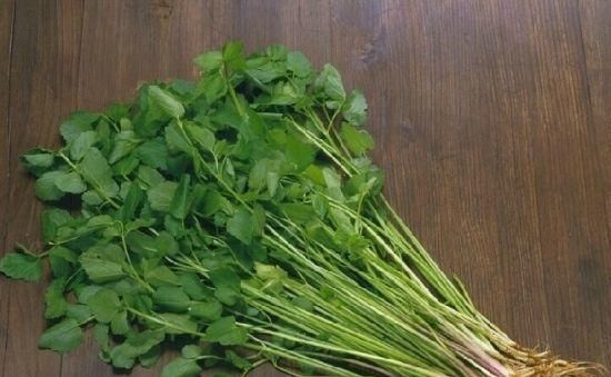  蔬菜|会吃的人最健康，3种蔬菜不可少，清热解毒，润肠通便，改善食欲