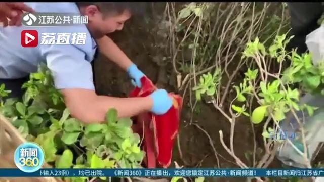  嫌疑人|趁雨夜偷盗774件黄金首饰！作案中嫌疑人还两次前往受害人家中…