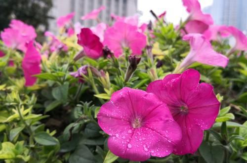  财运|2020年下半年几大星座财运好，咸鱼翻身，赚得钵满盆满什么都不愁