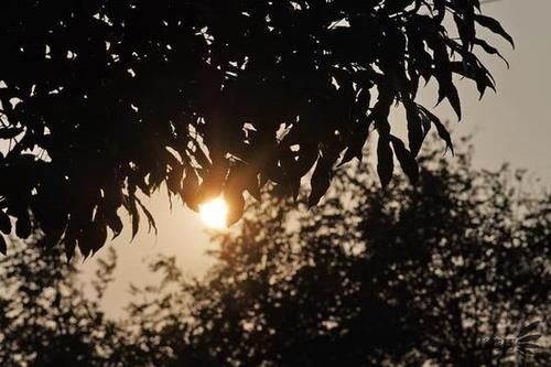  MACRO|“经典”的长焦微距 适马105mm F2.8 DG DN MACRO | Art评测