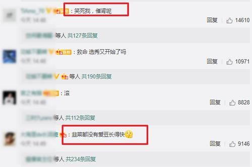 评论|青春有你3男团官宣,THE9女团却引热议,评论区粉丝表示有争议!