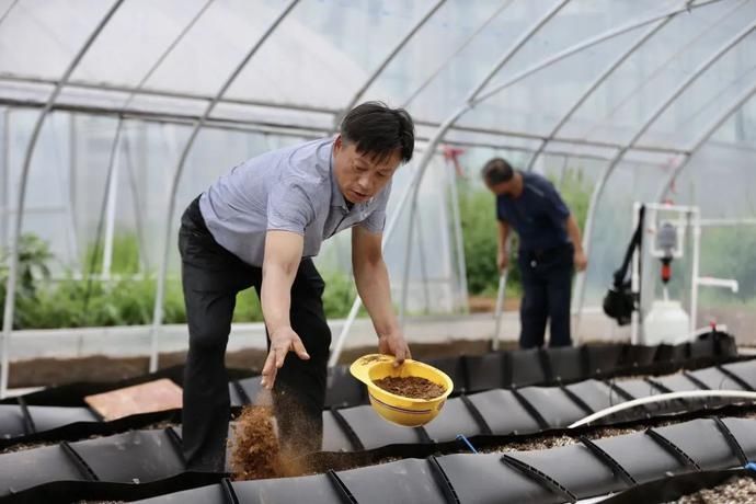  草莓种植|「科技农人」，可能是未来的当红职业