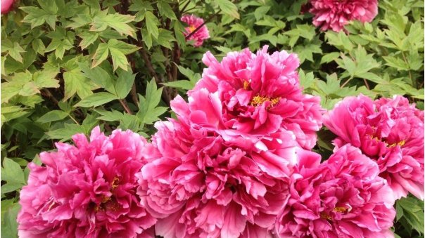  远离|想要福报多多，远离以下4种人，你就能修身修心得福报