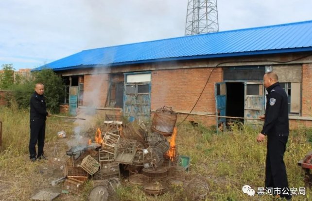 销毁|五大连池:挥锋“亮剑”!集中销毁禁猎工具170余个