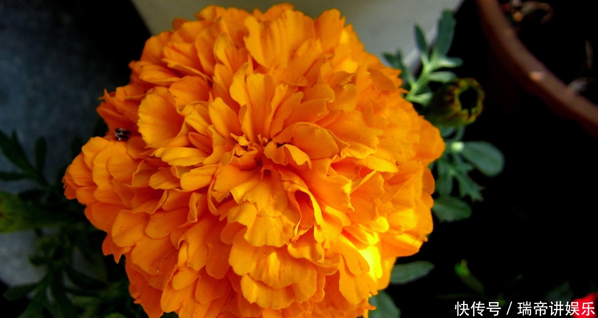  星座|在8月中旬，旧爱归来，有机会死灰复燃，相爱到老的四大星座！