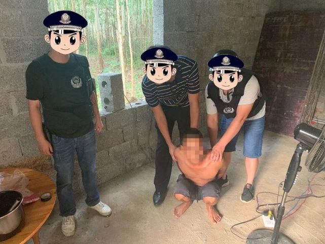  团伙|偷猪变抢猪，70头种猪连夜运走，这个盗窃团伙太嚣张了…