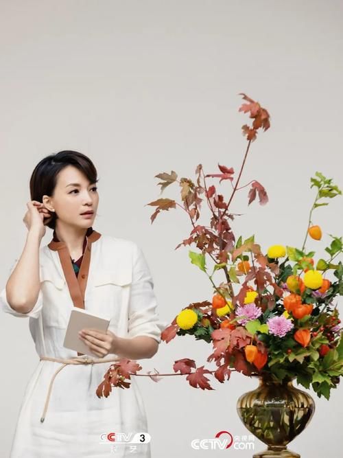  生活|这档被埋没的神仙综艺，值一个热搜！董卿插花比主持更美