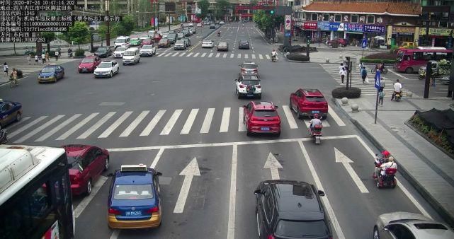 栖霞路北|都“跑”不脱！车辆违法，行人闯红灯……今天全曝光——