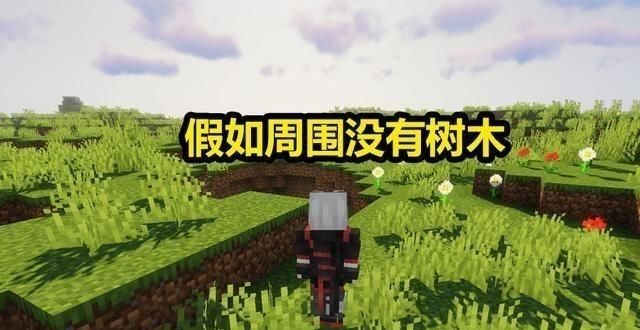 房屋|我的世界：假如周围没有树木，只有不远处的村庄，你会怎么办？