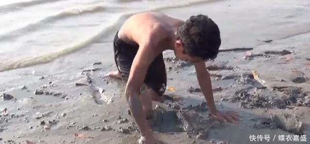 皮皮虾|海滩上发现有两个小洞 男子竟把腿伸进去 大呼: 原来它住在里面