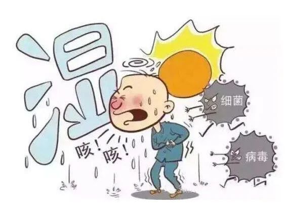 普洱|湿气太重?试试这几款茶,这个夏天不再油腻