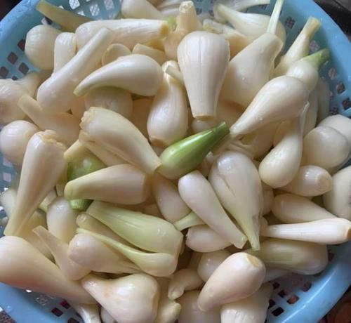 大蒜|不知道大家听说过没，常吃脾胃好，按时上厕所，虽然是野菜，越吃越瘦