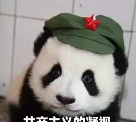 稀里哗啦|在你感动得稀里哗啦时，人家已经把钱挣了