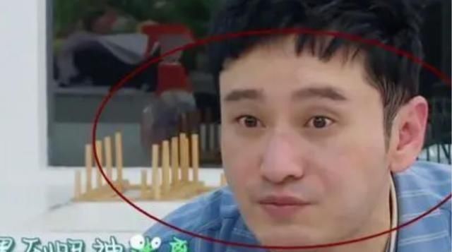 过敏|中餐厅嘉宾有多累?黄晓明眼神迷离,李浩菲过敏,心疼赵丽颖!