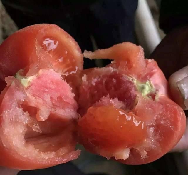 营养|西红柿到底生吃还是熟吃有营养？好多人不懂，记住这三个食用禁忌