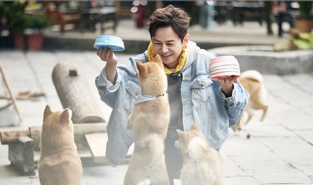  小鲜肉|黄磊拍《向往的生活》瘦了20斤，看看他做的美食，我也想试试了