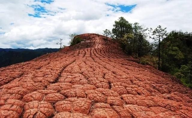  导价的A级|请收下，这是一份很长很全很美的暑期游云南攻略