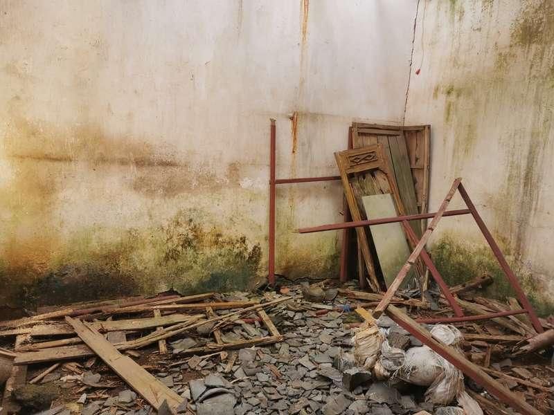 玉环|张玉环被羁押9778天背后:父子相互缺席的27年