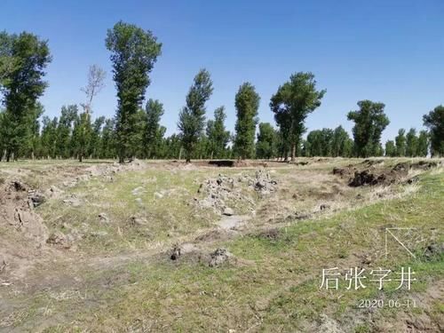 林地|公益诉讼 | “今年秋天，我们会完成……”