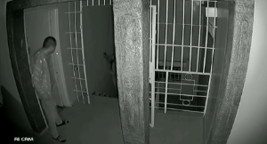 撂倒|华人男子与大批劫匪交火，叼着烟连开十枪，撂倒一人后叫警察洗地