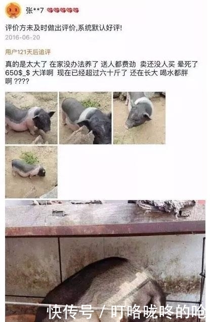 评论|那些淘宝卖家花钱都要删除的评论, 一个个都是祖国的人才!