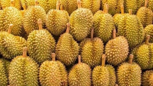 能顶|该肉每天吃一块,能顶3副药,只是气味有些独特,个别难以接受