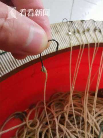  销售|警方捣毁非法捕捞销售长江野生鮰鱼案件