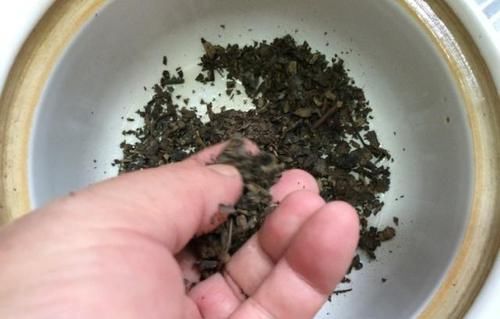 甘甜|此物在海外叫做“仙茶”，距今有很多年的历史，味道甘甜可口