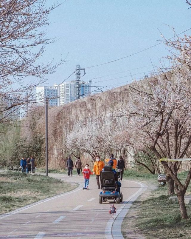  陈丹青|木心: 你的眉目笑语使我病了一场