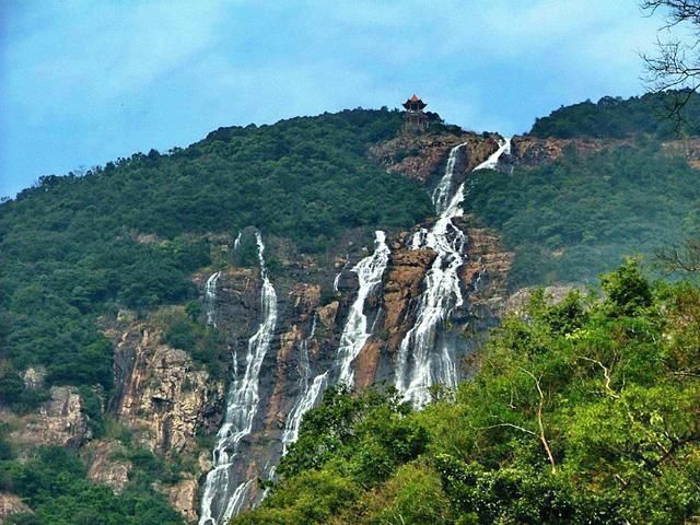 世上最贵|水果界的“布加迪”,一颗卖55万元,一般人吃不起,都是谁吃了