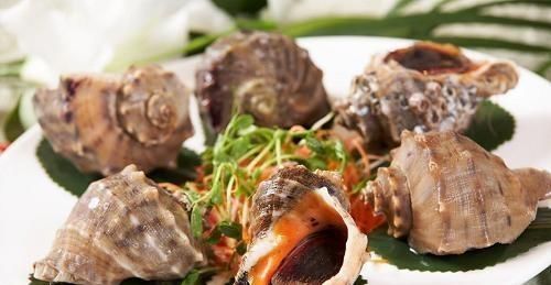 赶紧|海螺尾部的“黄”到底能不能吃好多人都不知道,赶紧看看吧!