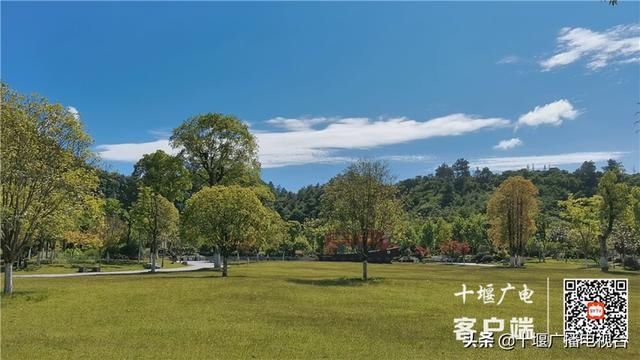  气象部门|又要下雨了！未来三天，十堰再迎强降水