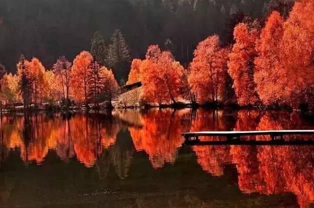  秋景|这一组迷人秋景，美爆了朋友圈！