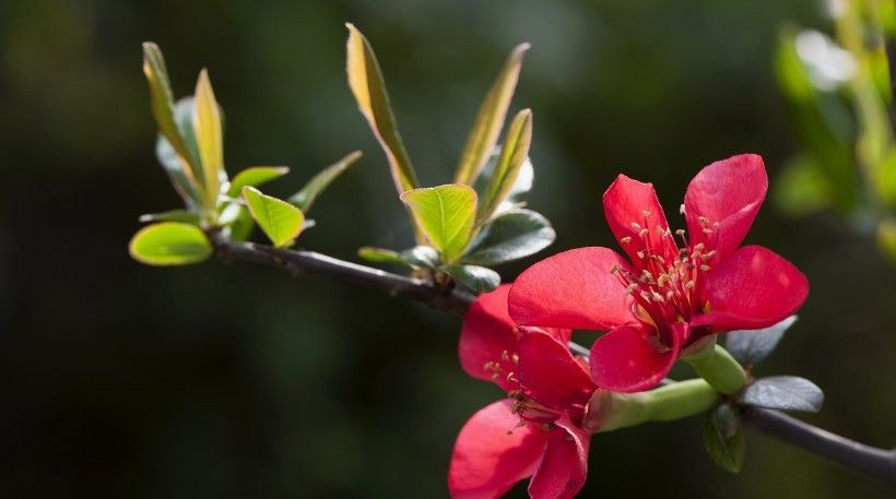  平静|近期内，平静地遇到真爱，有望完成终身大事的4大星座