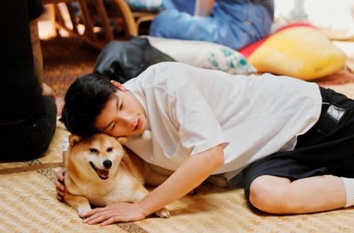  向往|许光汉做客《向往4》，送彭彭礼物过于贴心，让何炅起了鸡皮疙瘩