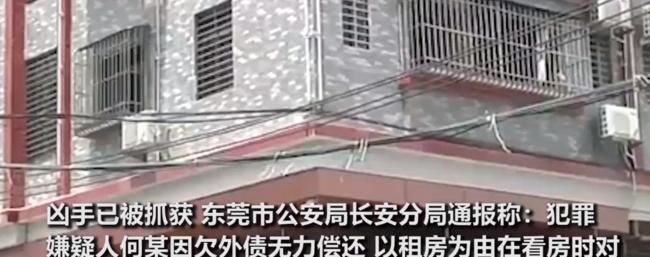  发抖|吓到发抖！女房东带租客看房被杀 犯罪嫌疑人已被抓捕归案