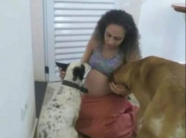  热火朝天|女子跟邻居聊的热火朝天，家里养的狗产生嫉妒心理，将新生的双胞胎咬死